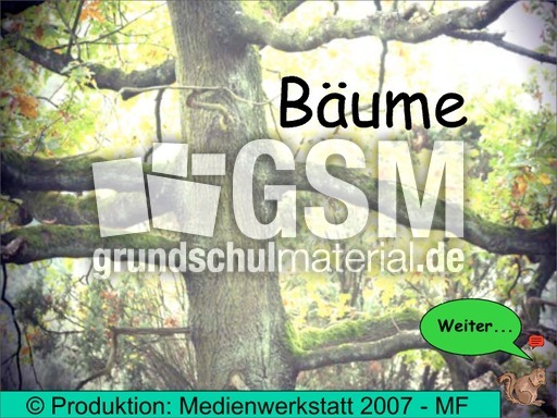 Präsentation-Bäume.pdf